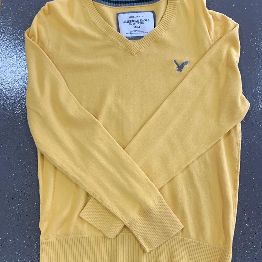 Mens American Eagle v-neck sweater